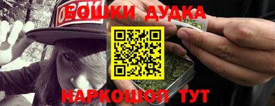 шишки Славгород