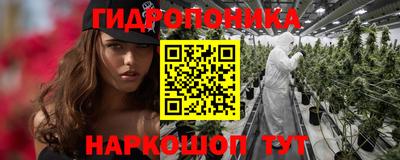 шишки Славгород