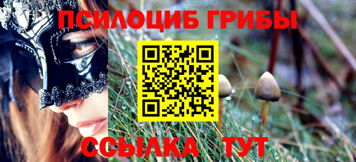 Псилоцибиновые грибы GOLDEN TEACHER Людиново